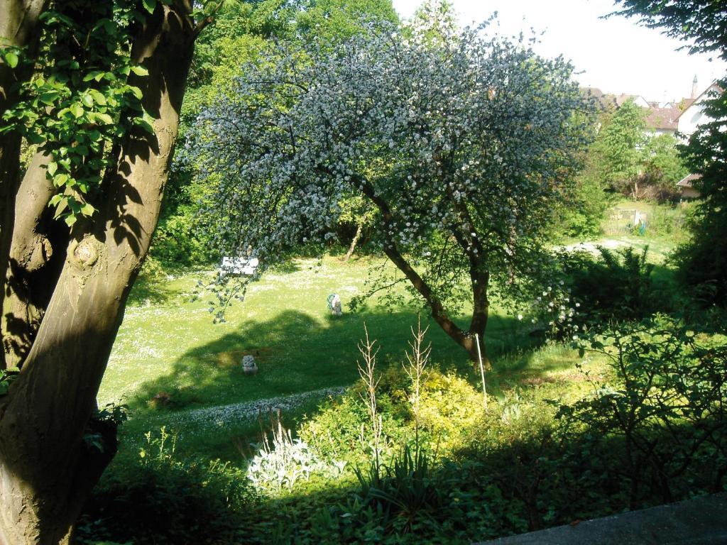Hotel B&B Bredl In Der Villa Ballestrem 스트라우빙 객실 사진